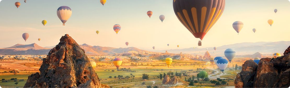 Distance Sales Agreement